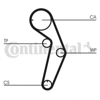 Courroie crantée CONTITECH CT1048