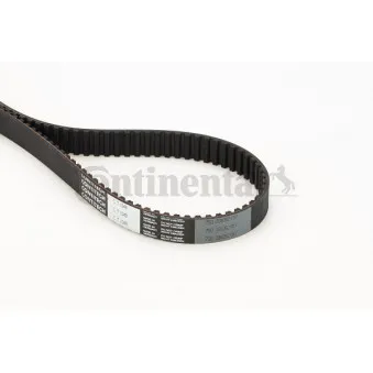 Courroie crantée CONTITECH CT1049