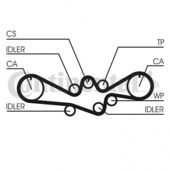Courroie crantée CONTITECH CT1050