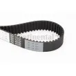 Courroie crantée CONTITECH CT1053 - Visuel 1