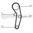 Courroie crantée CONTITECH CT1053 - Visuel 2
