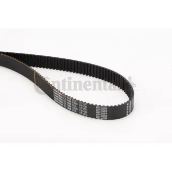 Courroie crantée CONTITECH CT1058