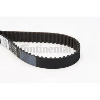 Courroie crantée CONTITECH CT1061