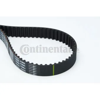 Courroie crantée CONTITECH CT1064