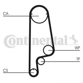 Courroie crantée CONTITECH CT1070