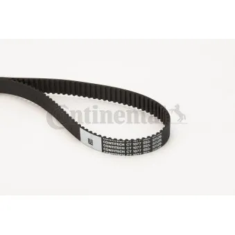 Courroie crantée CONTITECH CT1077