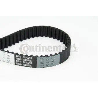 Courroie crantée CONTITECH CT1079