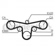 Kit de distribution CONTITECH CT1079K1 - Visuel 2