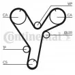 Courroie crantée CONTITECH CT1080 - Visuel 1