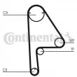 Courroie crantée CONTITECH CT1081 - Visuel 1