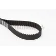 Courroie crantée CONTITECH CT1088 - Visuel 1