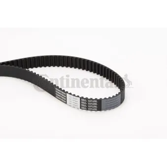 Courroie crantée CONTITECH CT1091