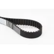 Courroie crantée CONTITECH CT1094 - Visuel 1