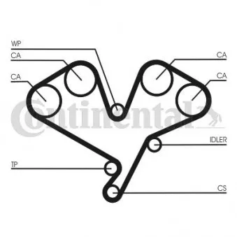Courroie crantée CONTITECH CT1113