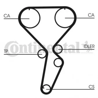 Courroie crantée CONTITECH CT1116