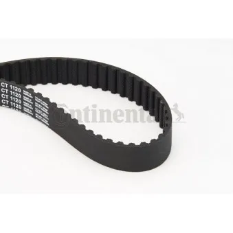 Courroie crantée CONTITECH CT1120