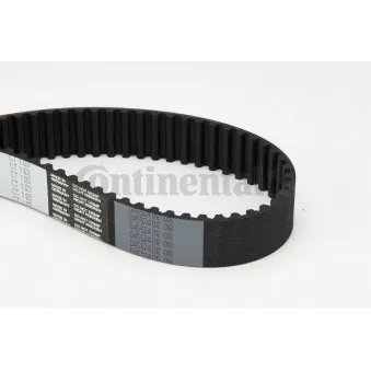 Courroie crantée CONTITECH CT1123