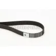 Courroie crantée CONTITECH CT1134 - Visuel 1