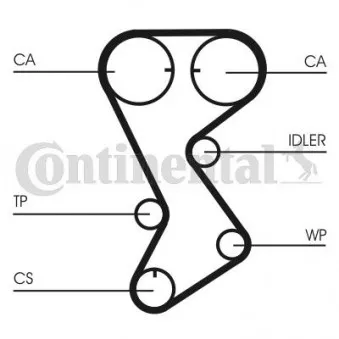 Courroie crantée CONTITECH CT1144