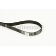Courroie crantée CONTITECH CT1149 - Visuel 1