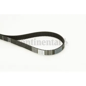 Courroie crantée CONTITECH CT1149