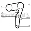 Kit de distribution CONTITECH CT1155K1 - Visuel 2