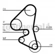 Courroie crantée CONTITECH CT1162 - Visuel 2