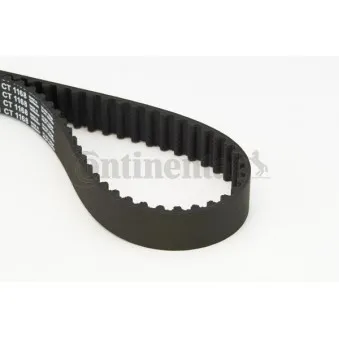 Courroie crantée CONTITECH CT1168