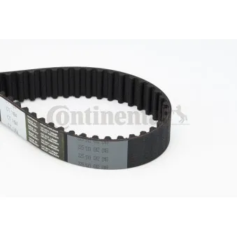 Courroie crantée CONTITECH CT1184