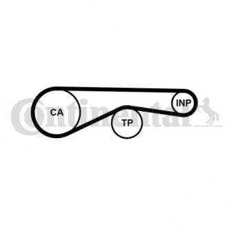 Courroie crantée CONTITECH CT1194