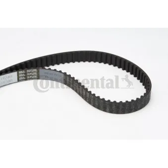 Courroie crantée CONTITECH CT1203