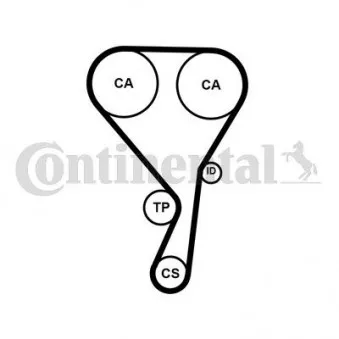 Courroie de distribution CONTITECH CT1215