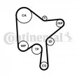 Kit de distribution CONTITECH CT1216K1 - Visuel 2