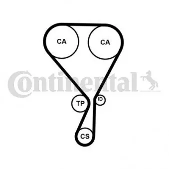 Courroie de distribution CONTITECH CT1228