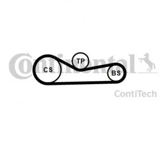 Courroie de distribution CONTITECH CT1232