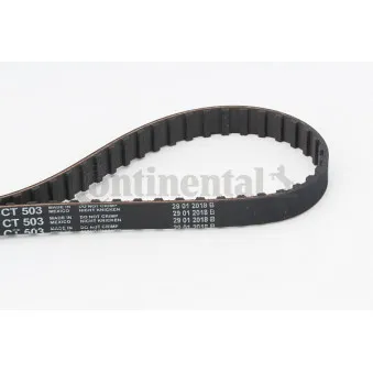 Courroie crantée CONTITECH CT503