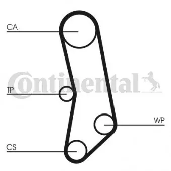 Pompe à eau + kit de courroie de distribution CONTITECH CT503WP1