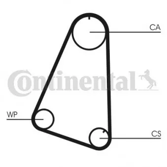 Pompe à eau + kit de courroie de distribution CONTITECH CT504WP1