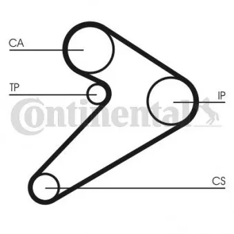 Courroie crantée CONTITECH CT517