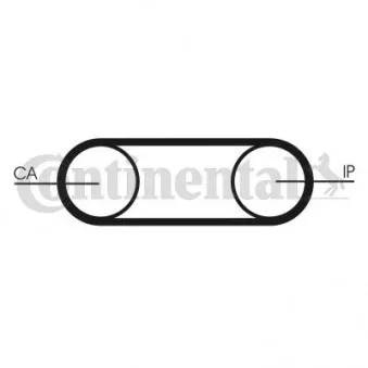 Courroie crantée CONTITECH CT541