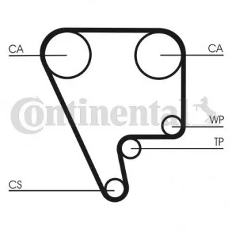 Courroie crantée CONTITECH CT556