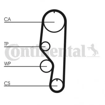 Courroie crantée CONTITECH CT557