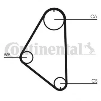 Courroie crantée CONTITECH CT558