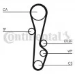 Courroie crantée CONTITECH CT586 - Visuel 2