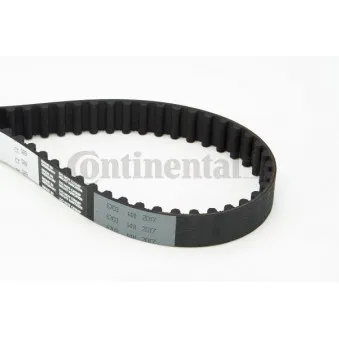 Courroie crantée CONTITECH CT589