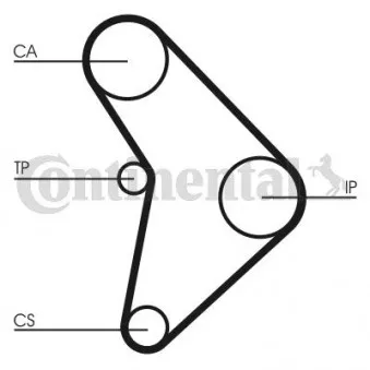 Courroie crantée CONTITECH CT592