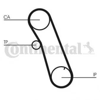 Courroie crantée CONTITECH CT616