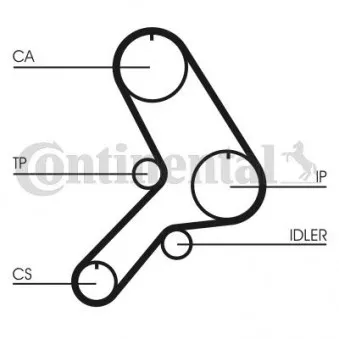 Courroie crantée CONTITECH CT617