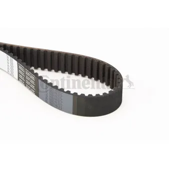 Courroie crantée CONTITECH CT619