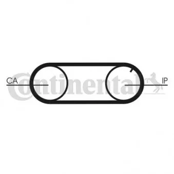 Courroie crantée CONTITECH CT641